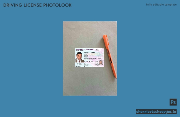 USA District of Columbia DL Fotolook-Beispielvorschau